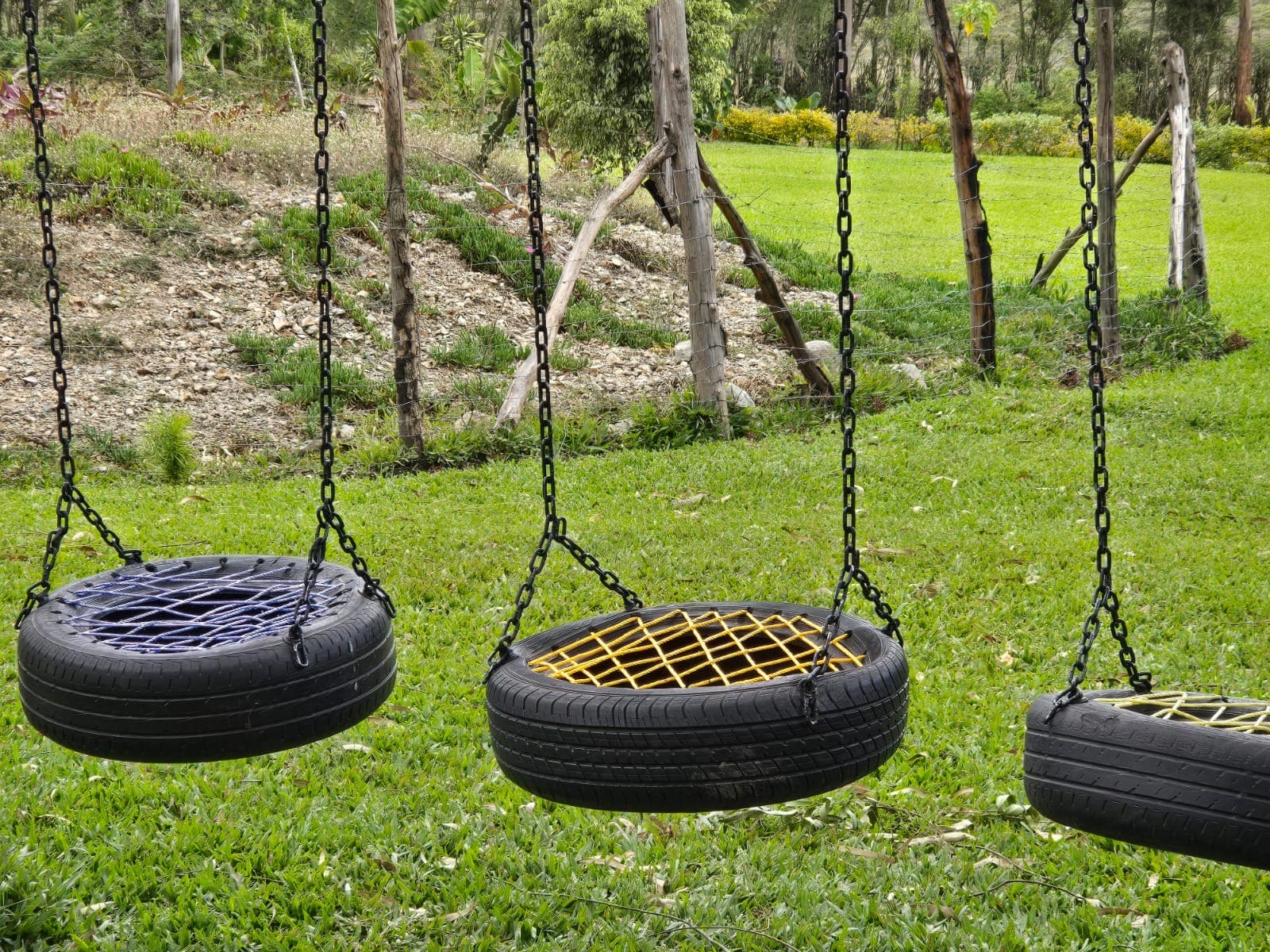 Creative tire swings in the play area